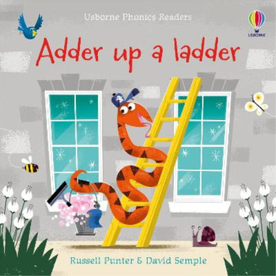 Adder up a Ladder (Phonics Readers): 1, Russell Punter, Used; Very Good Book