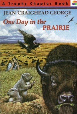 One Day in the Prairie (Paperback or Softback)