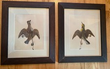 Antique Victorian BIRD “Tromp L’ Oeil Taxidermy” PAINTING hunting lodge decor