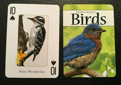 Swap Playing Card   Birds   HAIRY WOODPECKER    Stan  Tekielas