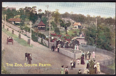 パース ポストカード ウェスタンオーストラリア Amazon | xtvinvm パース オーストラリア 旅行 ポストカード 世界中