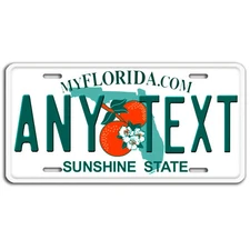 Florida YOUR TEXT Personalized Custom License Plate Tag Year 2000s collectible