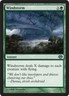Windstorm ~ Near Mint Duel Decks: Garruk vs Liliana MTG Magic UltimateMTG Green 