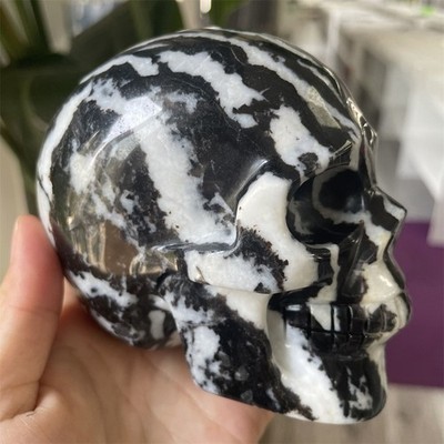 2.3LB 4.2''Natural A+Black And White Zebra Jasper Skull Crystal Reiki Decor