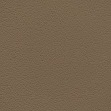 Nissan Russet Leather Dye