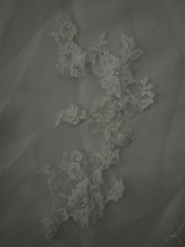 Blue by Enzoani Dayton Wedding Dress 12 Lace Tulle Ivory Romantic Dramatic Train - Picture 15 of 18