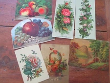 7 Victorian chromolithographs flowers & fruit baskets H HALLETT & RESTEIN