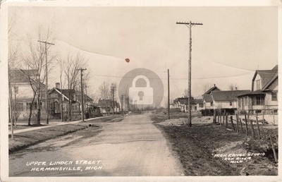 Street View Upper Linden St., Hermansville MI 1929 RPPC Photo Postcard COPY