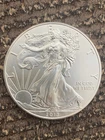 2013 American Silver Eagle Dollar 99.9% Silver 1 Oz. Uncirculated Flawless Gem!