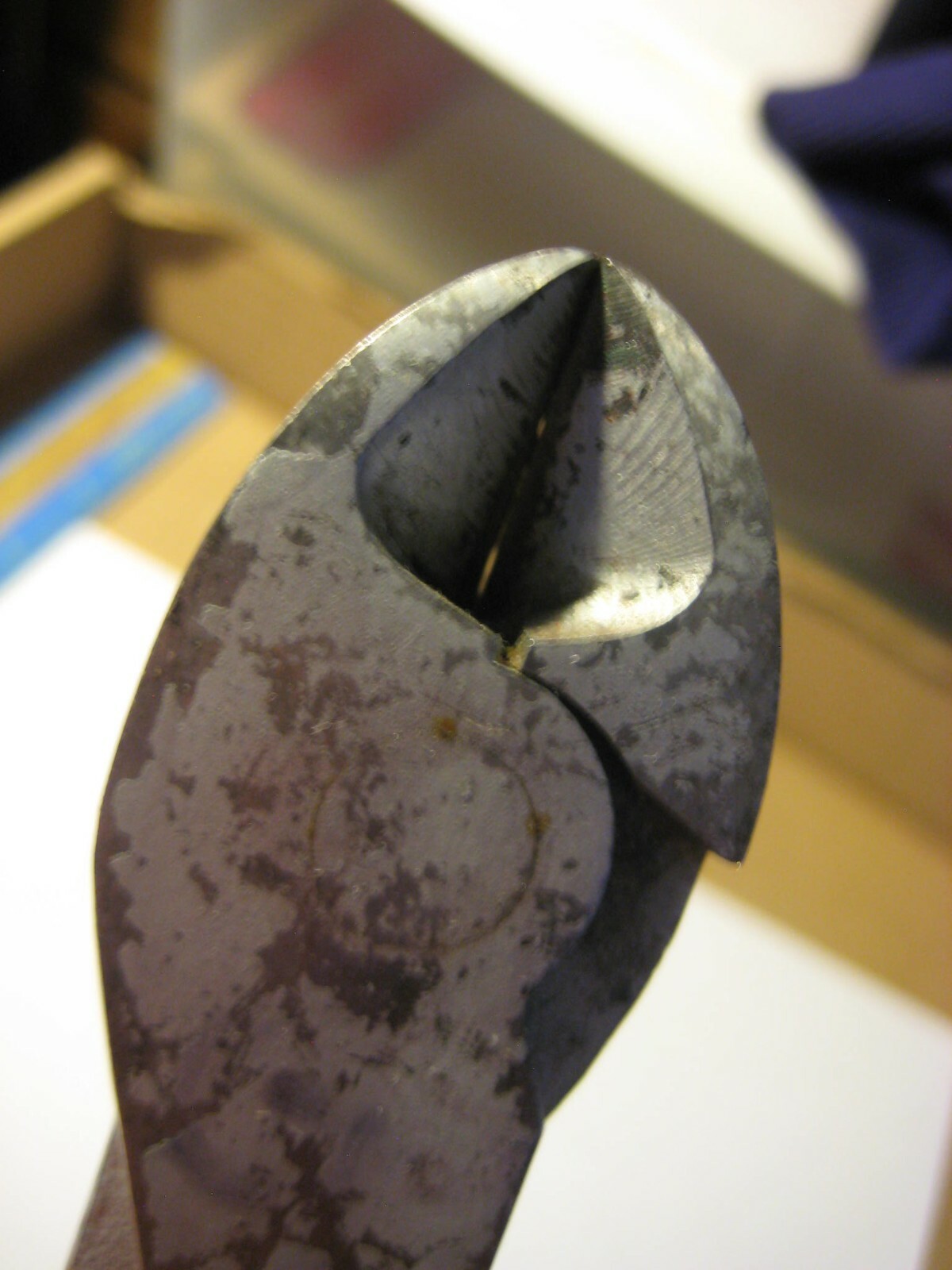 Picture 5 of 6