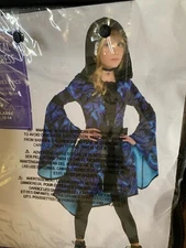 Mystical Sorceress Wizard Wicked Witch Dress Up Halloween Child Costume L 12-14