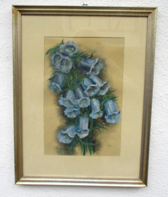 Orig . antikes Gemälde - Aquarell - Fingerhut - signiert - 34cm - 44cm