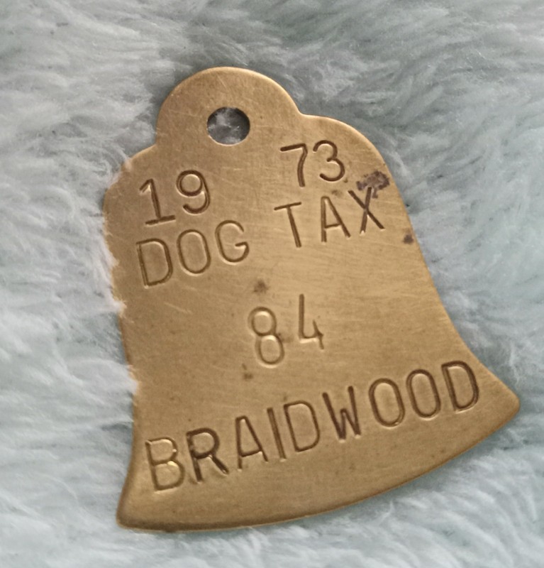 1973 Braidwood Illinois Brass Dog Tax Tag #84 -Bell Shaped