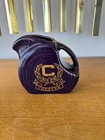 Fiesta  Mini Disc Pitcher | Chester  all school reunion 2010