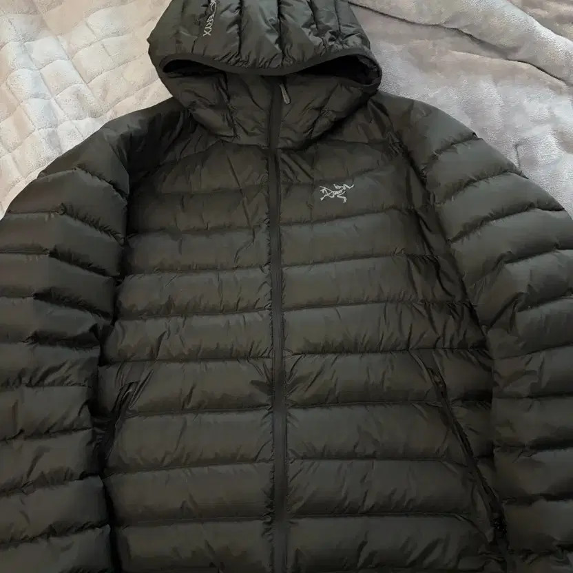 Arc'teryx Cerium Hoodie Men's Size L