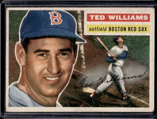 Ted Williams [White Back] #5 1956 Topps card