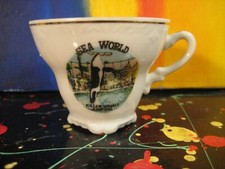 Sea World Killer Whale Jumping Souvenir Small Demi-Tasse Cup