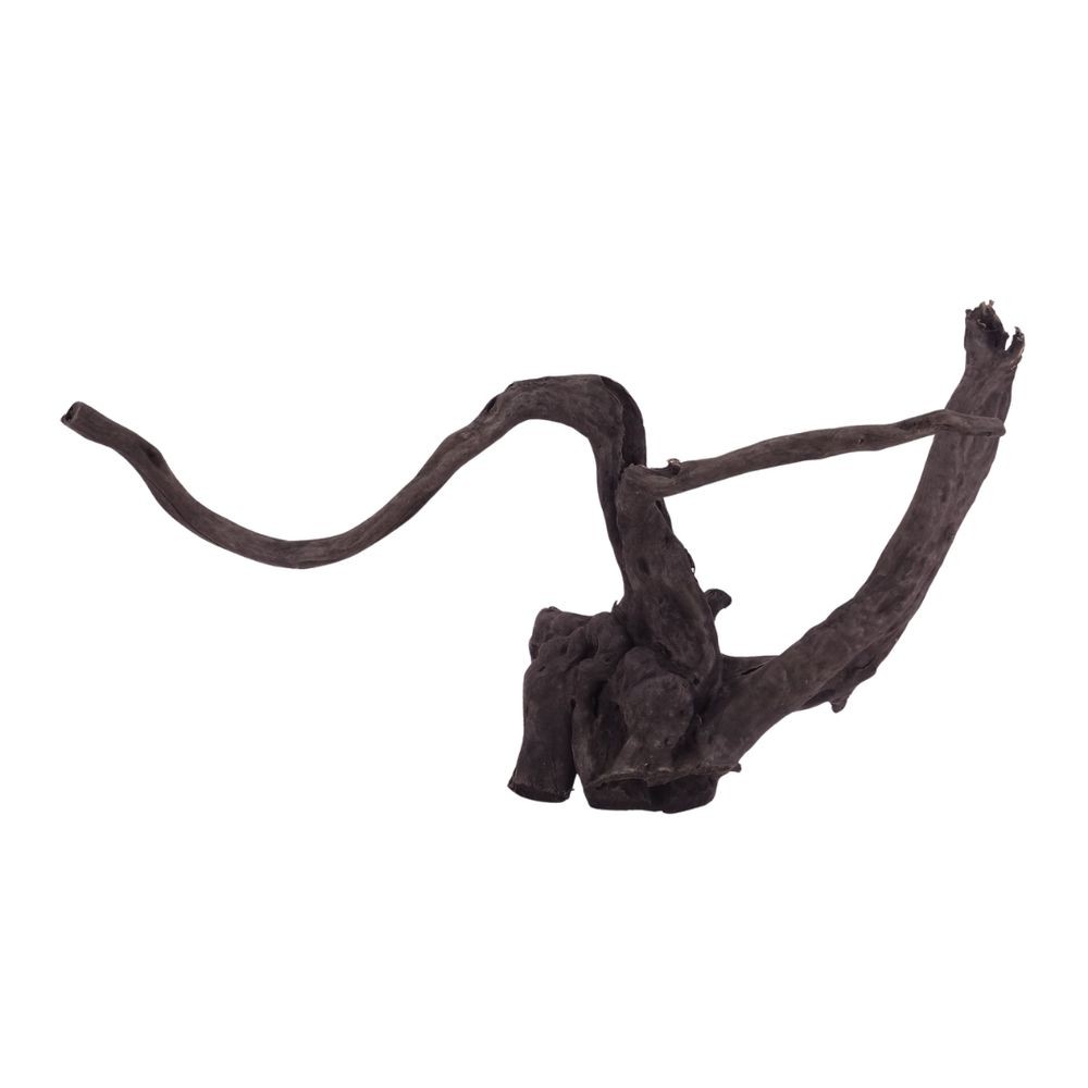 Radice Acquario Decorazione Black Spider Redwood Moorwood Aquascaping L Nr.2622 foto 2