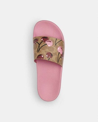 New Coach Udele Sport Slide In Signature Canvas With Cherry Print