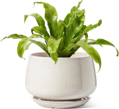 10'' Ceramic Planters with Drainage, Modern Beige Pots for Indoor Plants