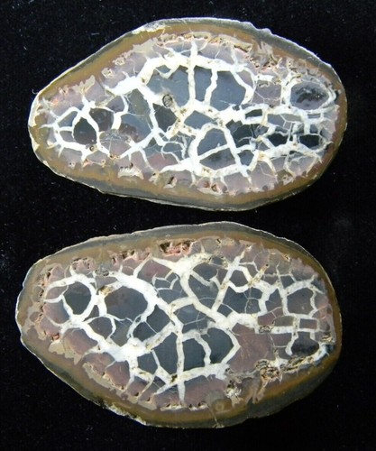 Polished septarian Nodule slices (Pair) Morocco 86.96 Grams - Picture 2 of 6