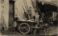 PC DOG CARTS DOGCARTS LAITIERE FLAMANDE (a46972)