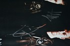 Foto 8 di 8