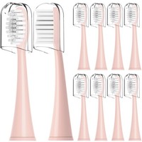 10 Pack Replacement Toothbrush Heads Ordo Sonic Electric Toothbrush with Cover