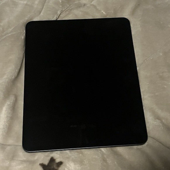 Apple iPad Pro 13-inch (M4) Tablet 256GB Gray Wi-Fi Bluetooth
