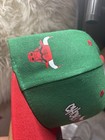 Chicago Bulls NBA Basketball Snapback Cap Hat Green/Red Flat Brim — photo 3