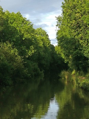 Foto 12x8 Kanal bei Tibberton, Worcestershire Smite Hill 3 c2010