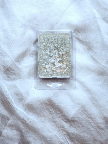 *SPICED PUMPKIN LATTE* WAX MELTS LOT OF 2 - 第 14/15 張圖片