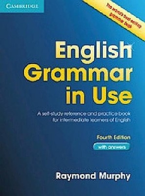 English Grammar in Use : A Self-Study Reference and Practice Book