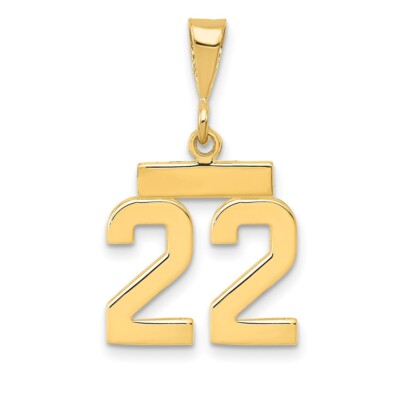 Echt 14kt Gelbgold kleine polierte Zahl 22 Charm