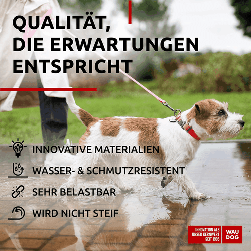 Pink Waterproof Dog Collar Adjustable for Small Dogs 914 in Neck x 3/5 in Wide - Picture 4 of 7