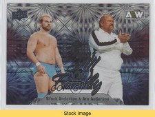 2023 AEW All Elite Wrestling in the Family Pyro Arn Anderson Brock #97 READ 6kv