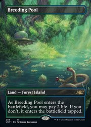 Breeding Pool (Borderless) Unfinity Foil #286
