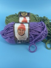 2 skein Lion Brand Hometown USA Super Bulky OKC Green Minneapolis Purple