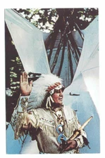Chief Oshkosh Of The Menominee Indian Tribe Egg Harbor Door County #WI #Postcard