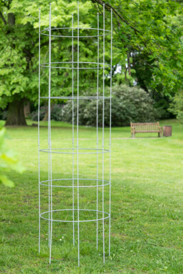 Rankhilfe Metall Ø 60cm H: 200cm Zink Rankhilfe Rankgitter Obelisk Rankgerüst