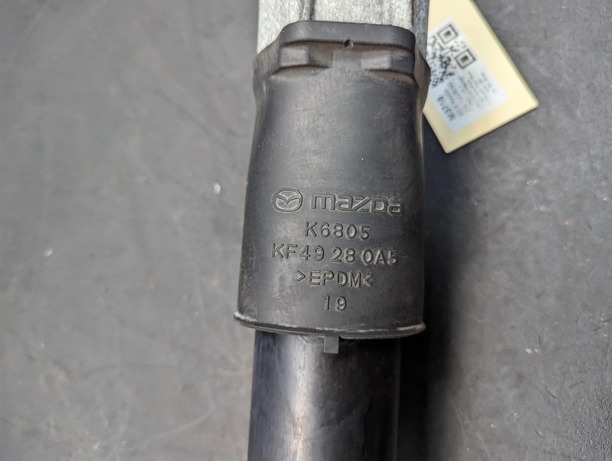  バード　2017 キウル Shock Absorber Strut for Toyota RAV-4 (2006-) 339031 339032