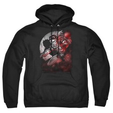 Batman "Robin Spotlight" Pullover Hoodie, Sweatshirt or Long Sleeve T-Shirt