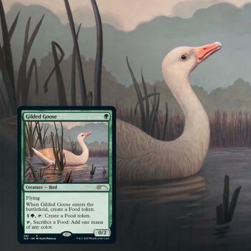 Magic the Gathering: Secret Lair Ornithological Studies [MTG