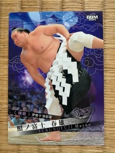 Japan Sumo | eBay