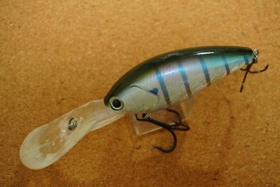 Nories   Shot  Over 5          (R907JL2