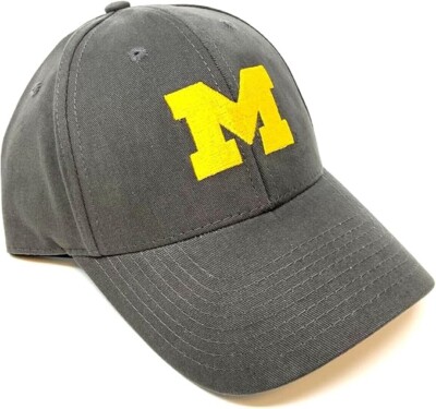 Michigan Wolverines Cap Adjustable Gray MVP Fan Favorite Hat