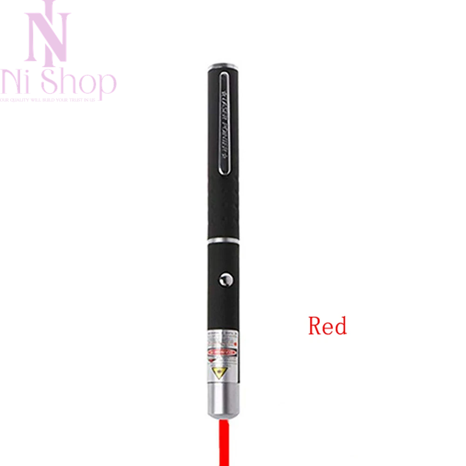 2in1 Mini Cat Keychain LED Pointer & Training Torch Flashlight with