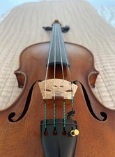 Viola 16 inch