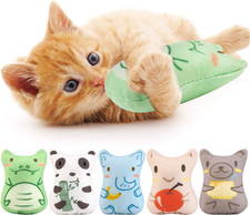 Catnip Toys for Indoor Cats - 5PCS Plush Cat Chew Toys Teething Interactive Catn