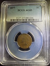  on The Hot Collector